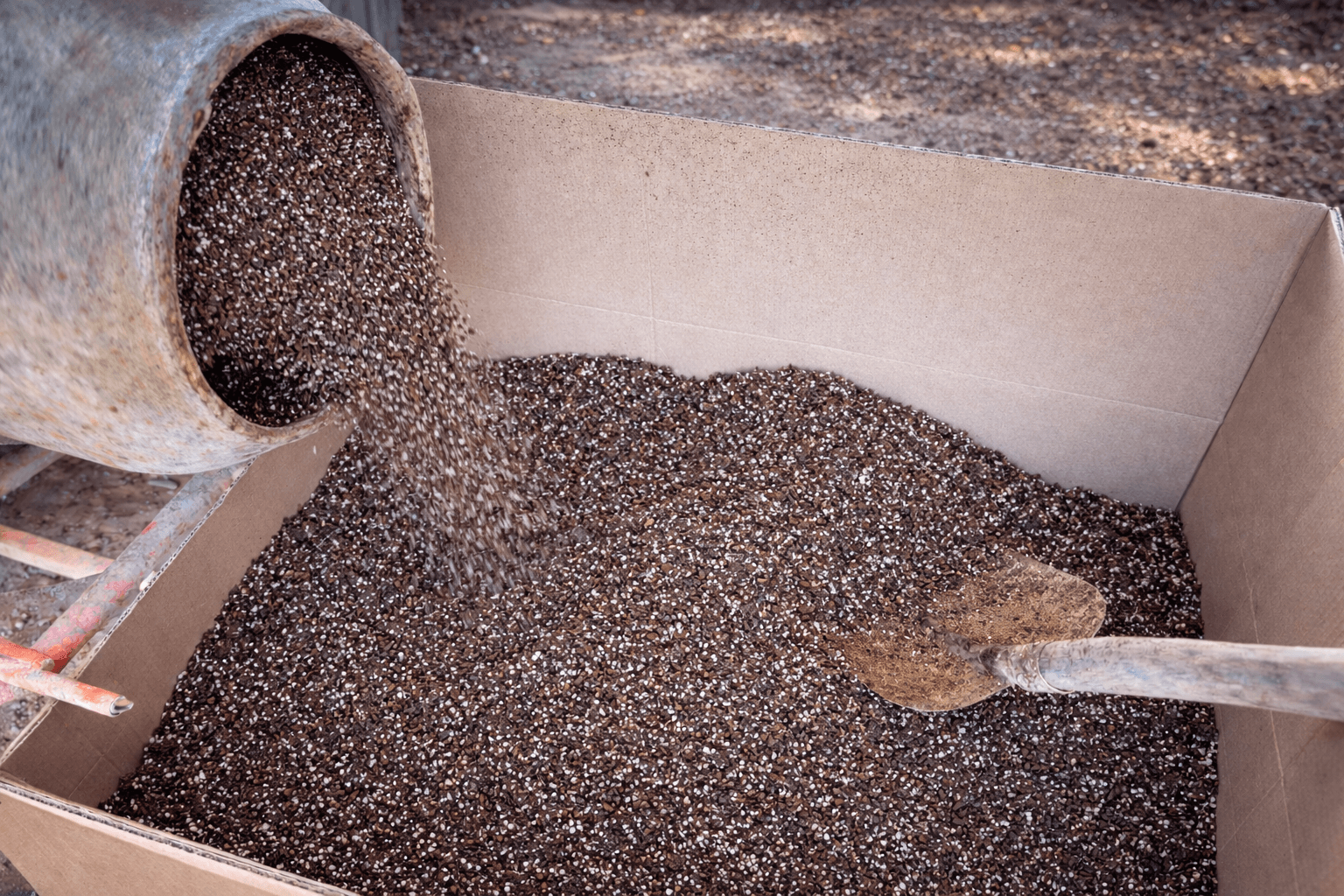 Repotting Madness: Preparing for a New Flytrap Season