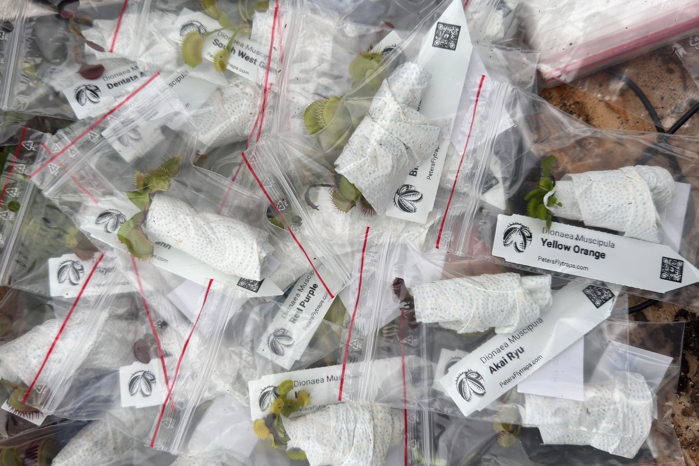 Chyba, která odemkla největší objednávku roku