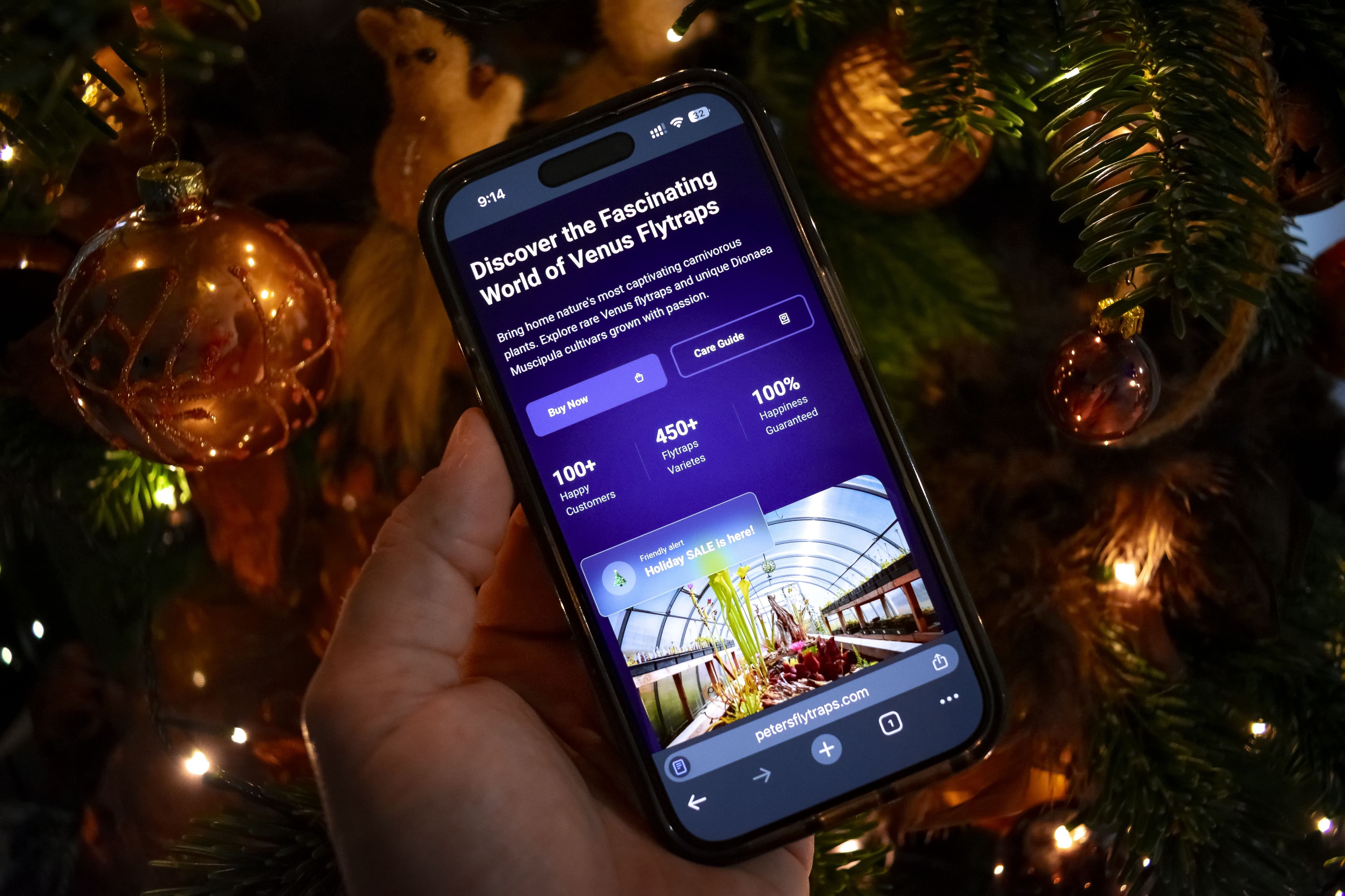 From Passion to Growth: 2025 and Launching My Flytraps E-Shop