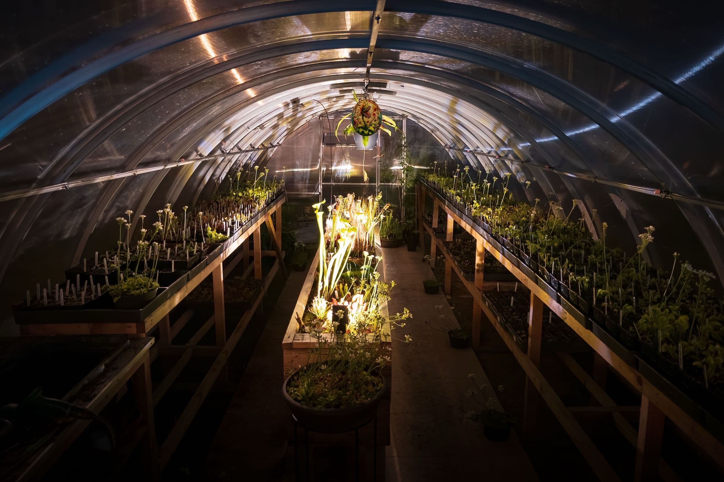 Starting Autumn Season with Tea Time in the Greenhouse
