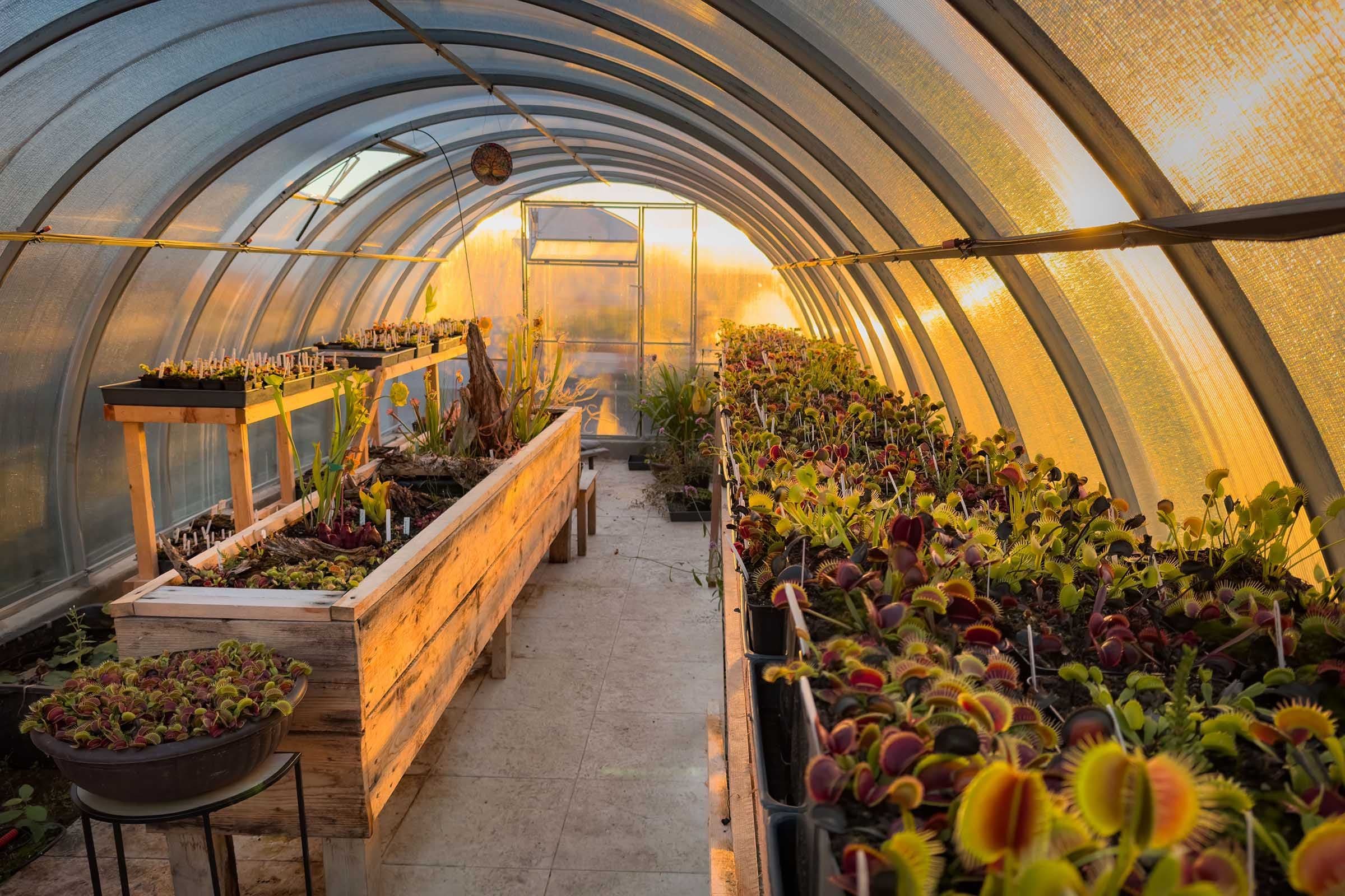 My Everyday Escape: A Greenhouse Full of Magic